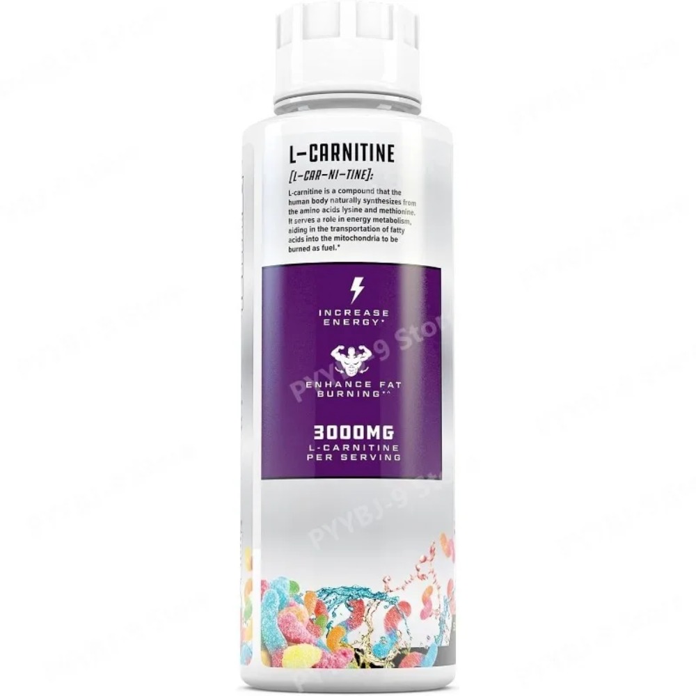 L-Carnitin Flüssig 3000mg Saur – L-Carnitine Liquid Bewertung und Preis